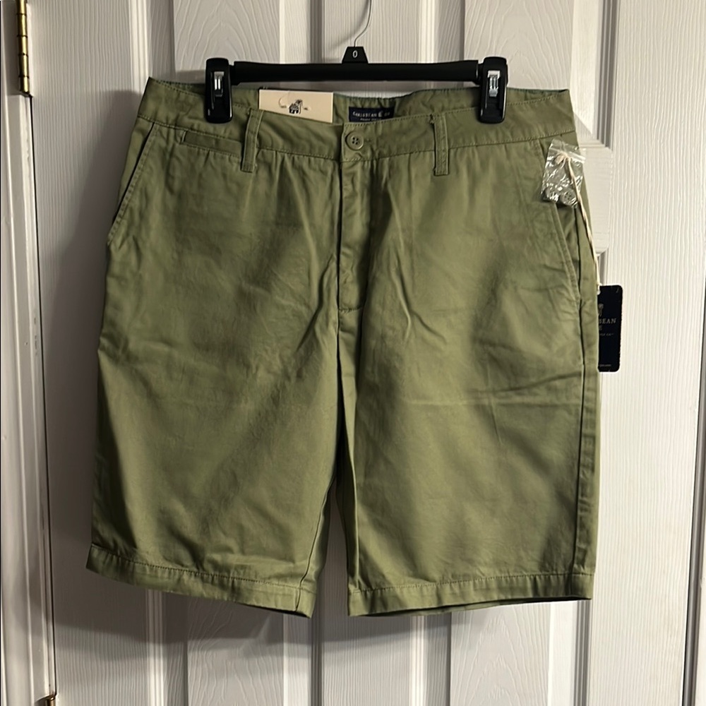 Caribbean Joe Green Shorts